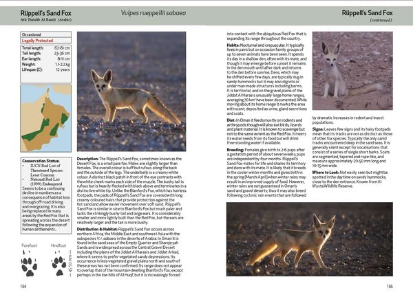 Produktbild: Spalton, A: Field Guide to the Mammals of Oman