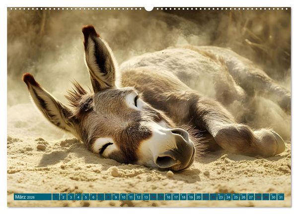 Produktbild: Plitsch, Platsch, tierisch nass (hochwertiger Premium Wandkalender 2026 DIN A2 quer), Kunstdruck in Hochglanz