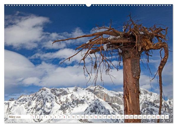 Produktbild: Alles aus Holz (hochwertiger Premium Wandkalender 2026 DIN A2 quer), Kunstdruck in Hochglanz