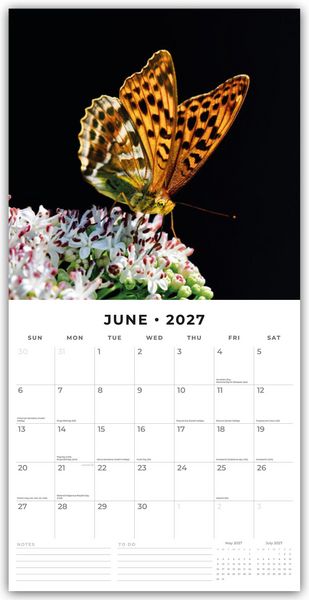 Produktbild: Butterflies &ndash; Schmetterlinge 2027 &ndash; 16-Monatskalender