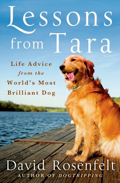 Produktbild: Lessons from Tara