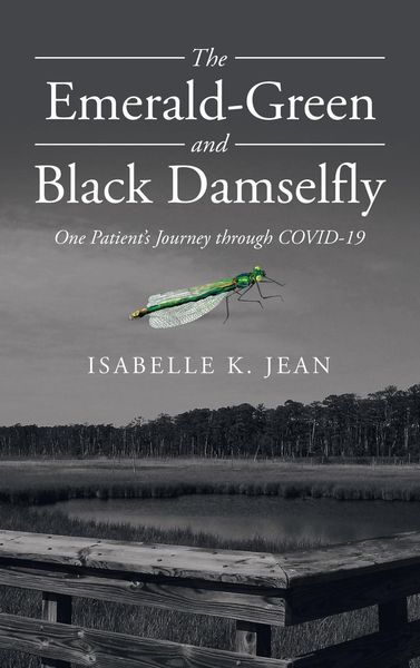 Produktbild: The Emerald-Green and Black Damselfly
