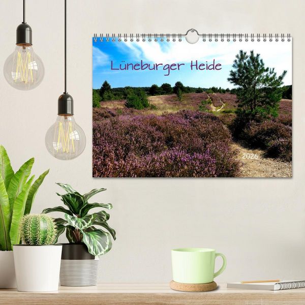 Produktbild: L&uuml;neburger Heide (Wandkalender 2026 DIN A4 quer), CALVENDO Monatskalender