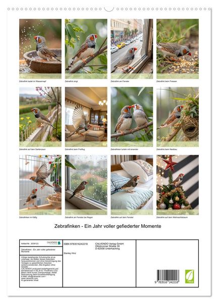 Produktbild: Zebrafinken - Ein Jahr voller gefiederter Momente (hochwertiger Premium Wandkalender 2026 DIN A2 hoch), Kunstdruck in Hochglanz