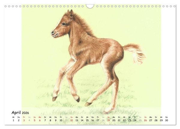 Produktbild: Arts & Horses (Wandkalender 2026 DIN A3 quer), CALVENDO Monatskalender