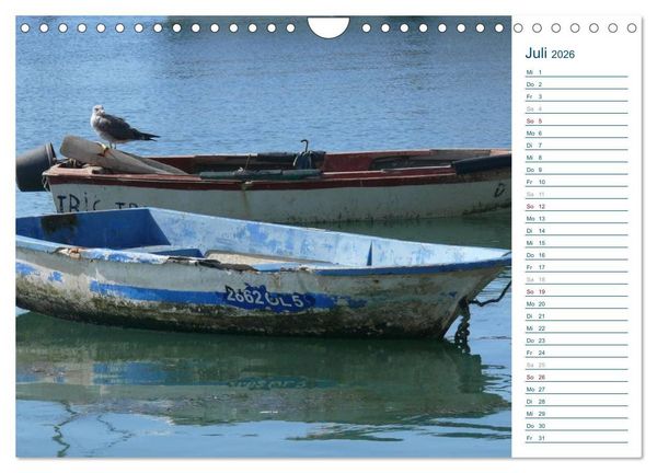 Produktbild: M&ouml;wen - Von der Ostsee bis zum Atlantik (Wandkalender 2026 DIN A4 quer), CALVENDO Monatskalender