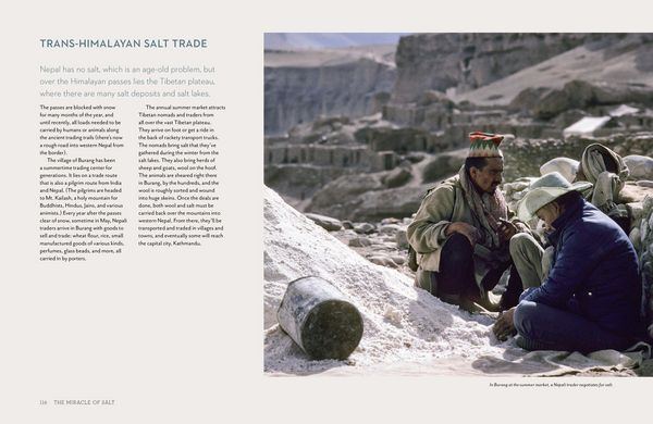 Produktbild: Miracle of Salt