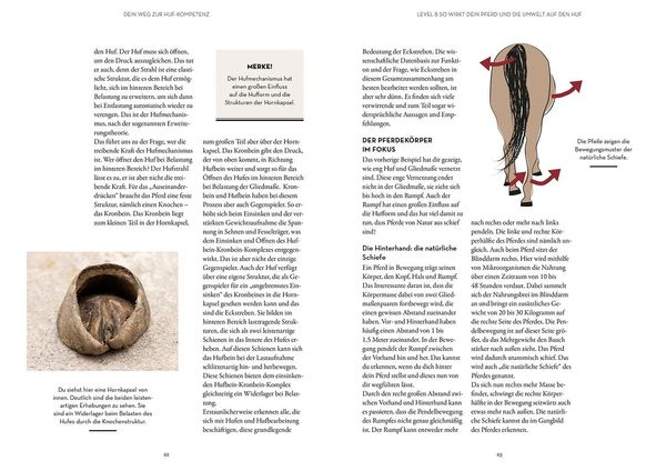 Produktbild: Hufe lesen