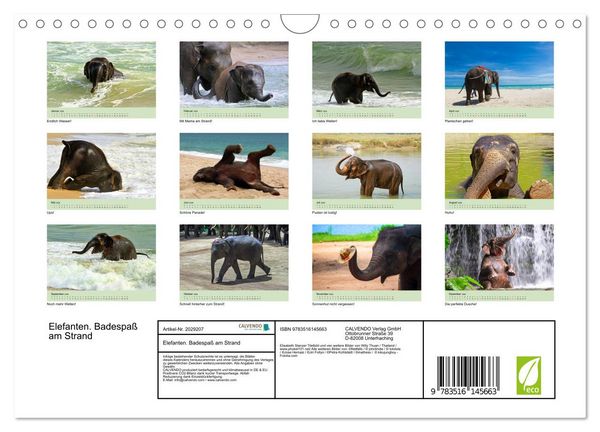Produktbild: Elefanten. Badespa&szlig; am Strand (Wandkalender 2026 DIN A4 quer), CALVENDO Monatskalender