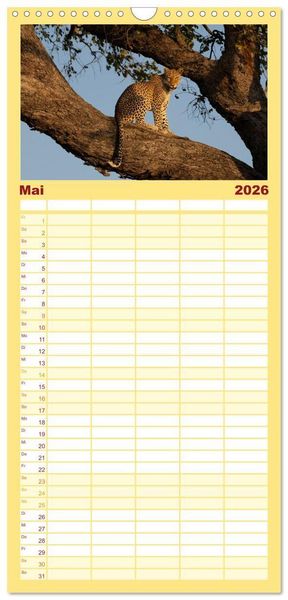 Produktbild: Familienplaner 2026 - Komm mit auf Safari! Botswana und S&uuml;dafrika mit 5 Spalten (Wandkalender, 21 x 45 cm) CALVENDO