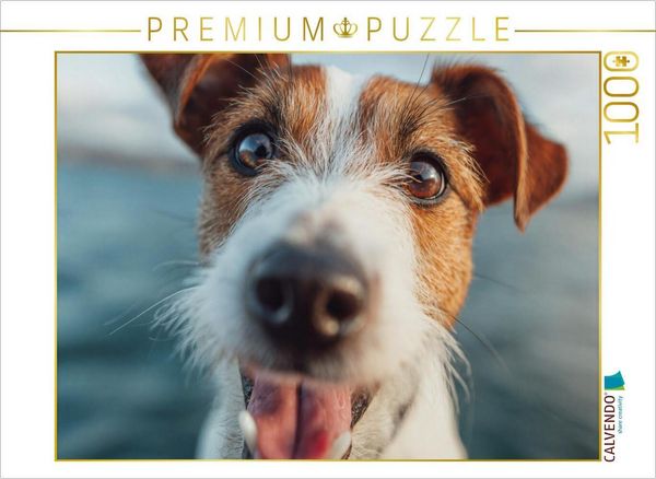 CALVENDO Puzzle Frischer Wind und treue Augen | 1000 Teile Lege-Größe 64 × 48 cm Foto-Puzzle für glückliche Stunden