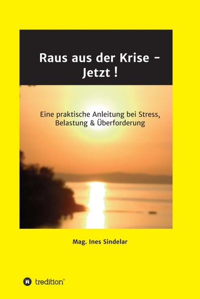 Produktbild: Raus aus der Krise - Jetzt !