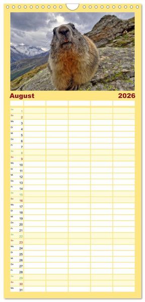 Produktbild: Familienplaner 2026 - Und ewig pfeift das Murmeltier mit 5 Spalten (Wandkalender, 21 x 45 cm) CALVENDO