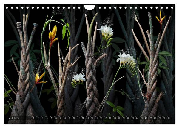 Produktbild: Musica fant&aacute;sia - Die wundersame Welt des Fotok&uuml;nstlers Olaf Bruhn (Wandkalender 2026 DIN A4 quer), CALVENDO Monatskalender