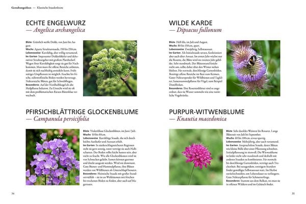 "Der antiautoritäre Garten" online kaufen