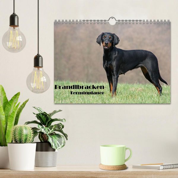 Produktbild: Der Brandlbracken-Terminplaner (Wandkalender 2026 DIN A4 quer), CALVENDO Monatskalender