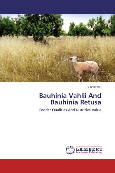 Produktbild: Bauhinia Vahlii And Bauhinia Retusa