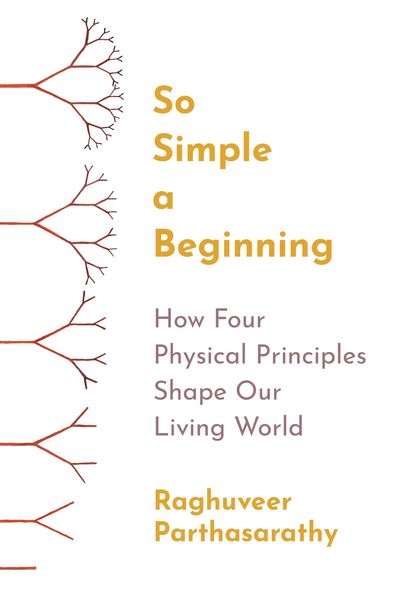 Produktbild: So Simple a Beginning - How Four Physical Principles Shape Our Living World