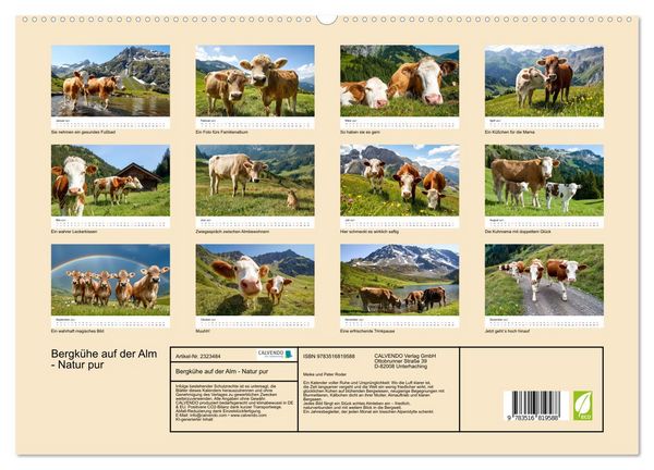 Produktbild: Bergk&uuml;he auf der Alm - Natur pur (hochwertiger Premium Wandkalender 2027 DIN A2 quer), Kunstdruck in Hochglanz