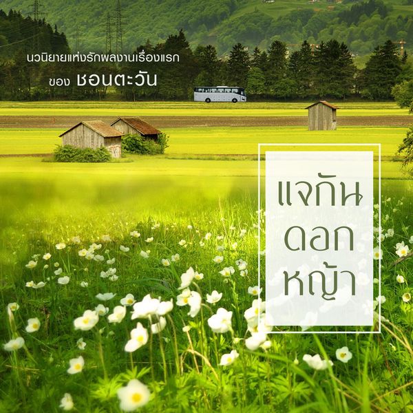 Produktbild: แจกันดอกหญ้า