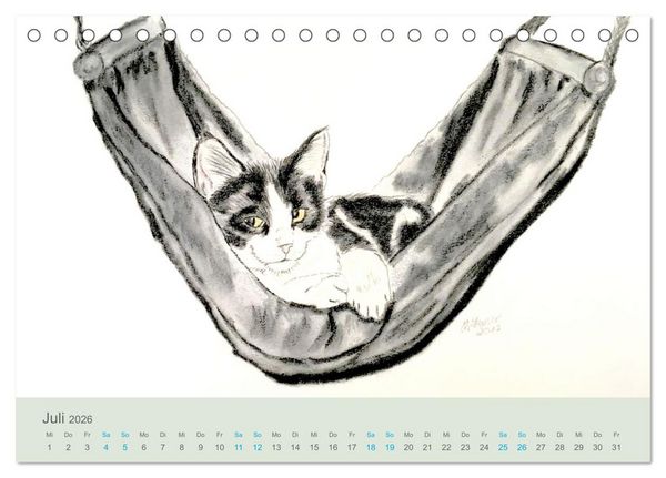 Produktbild: KATZEN PortraiTierART (Tischkalender 2026 DIN A5 quer), CALVENDO Monatskalender