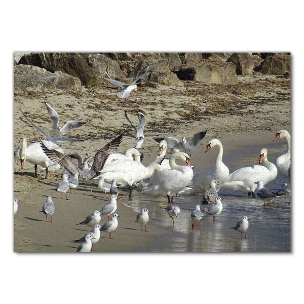 Produktbild: Lais Puzzle Schw&auml;ne und M&ouml;wen am Strand 1000 Teile