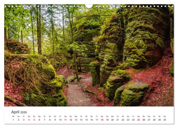 Produktbild: DEUTSCHLAND, S&auml;chsische Schweiz Nationalpark, M&auml;rchenwald (Wandkalender 2026 DIN A3 quer), CALVENDO Monatskalender