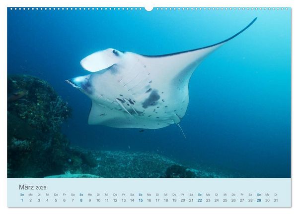 Produktbild: Abenteuer Unterwasser (Wandkalender 2026 DIN A2 quer), CALVENDO Monatskalender