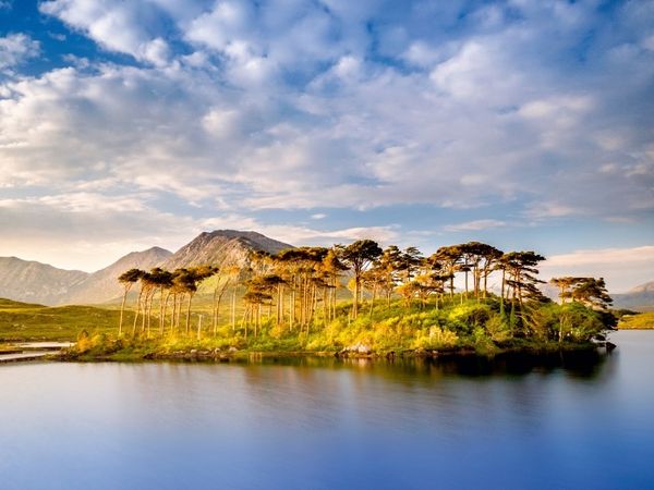 Produktbild: Ein Motiv aus dem Kalender Nationalpark Connemara - Irlands urspr&uuml;nglicher Westen (Puzzle)