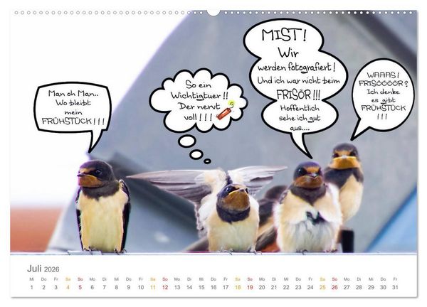 Produktbild: Wenn Schwalben reden (Wandkalender 2026 DIN A2 quer), CALVENDO Monatskalender
