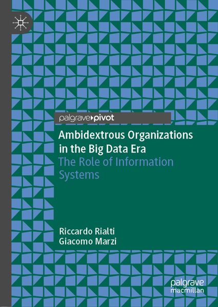 Produktbild: Ambidextrous Organizations in the Big Data Era
