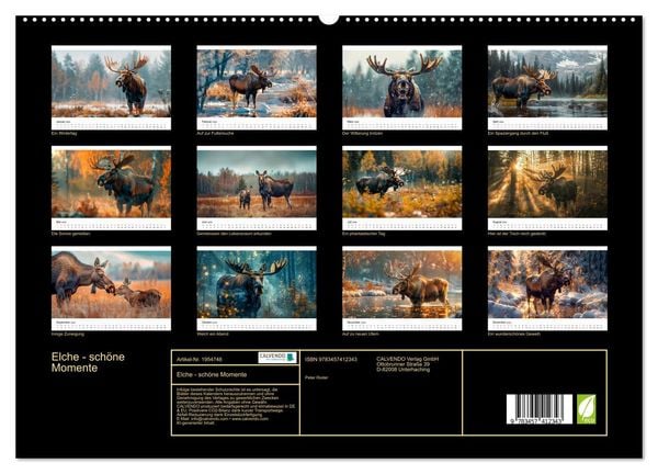 Produktbild: Elche - sch&ouml;ne Momente (hochwertiger Premium Wandkalender 2026 DIN A2 quer), Kunstdruck in Hochglanz