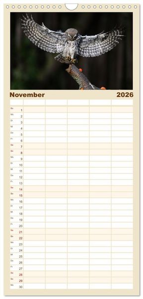 Produktbild: Familienplaner 2026 - Faszination Steinkauz mit 5 Spalten (Wandkalender, 21 x 45 cm) CALVENDO