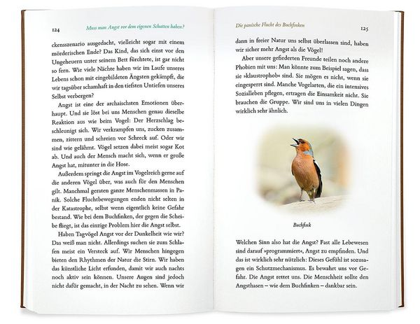 Produktbild: Kleine Philosophie der V&ouml;gel