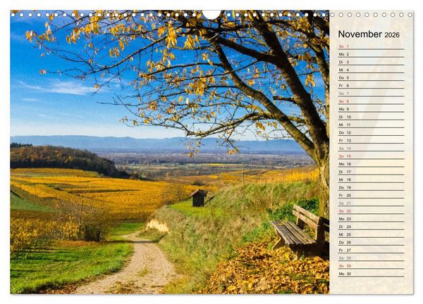 Produktbild: Auf Schusters Rappen... S&uuml;dlicher Oberrhein und S&uuml;dschwarzwald (Wandkalender 2026 DIN A3 quer), CALVENDO Monatskalender