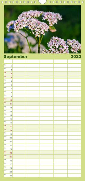 Produktbild: Familienplaner Arzneipflanzen (Wandkalender 2022 , 21 cm x 45 cm, hoch)