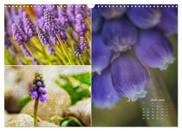 Produktbild: Blumenreise 2026 (Wandkalender 2026 DIN A3 quer), CALVENDO Monatskalender