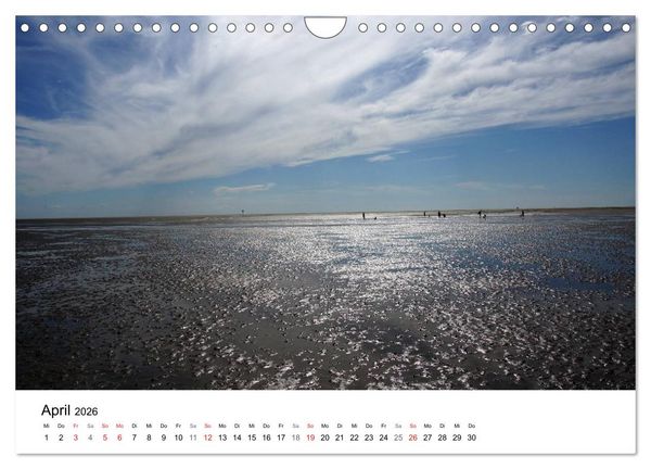 Produktbild: St. Peter Ording 2026 (Wandkalender 2026 DIN A4 quer), CALVENDO Monatskalender