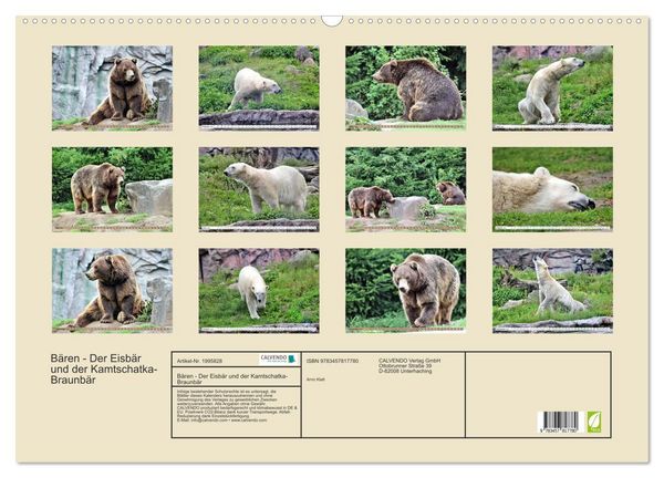Produktbild: B&auml;ren - Der Eisb&auml;r und der Kamtschatka-Braunb&auml;r (Wandkalender 2026 DIN A2 quer), CALVENDO Monatskalender
