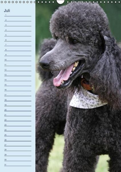 Produktbild: Pudel / Geburtstagskalender (Wandkalender immerw&auml;hrend DIN A3 hoch)