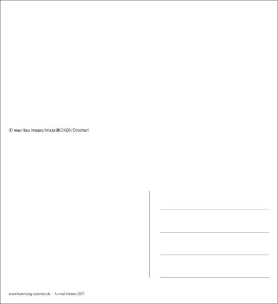 Produktbild: Animal Memes Postkartenkalender 2027 - 53 tierisch witzige Postkarten