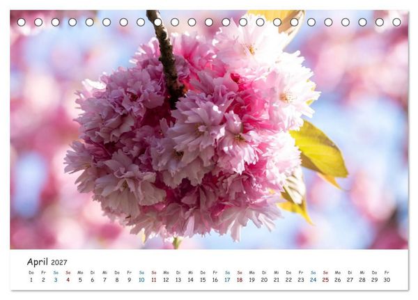 Produktbild: Typisch Magdeburg (Tischkalender 2027 DIN A5 quer), CALVENDO Monatskalender