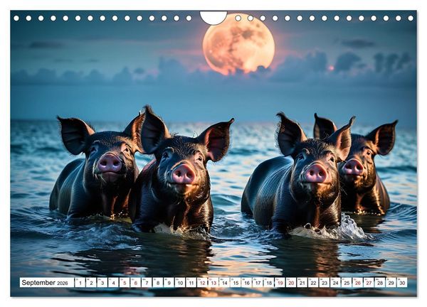 Produktbild: Schwimmende Schweine im Paradies (Wandkalender 2026 DIN A4 quer), CALVENDO Monatskalender