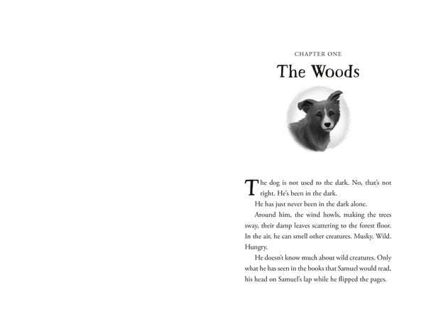 Produktbild: The Unlikely Tale of Chase and Finnegan