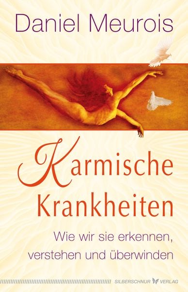 Produktbild: Karmische Krankheiten