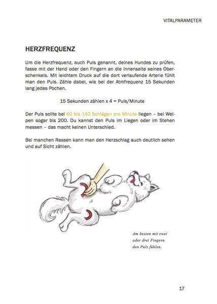 Produktbild: Erste Hilfe am Hund - Leben retten durch einfache Ma&szlig;nahmen