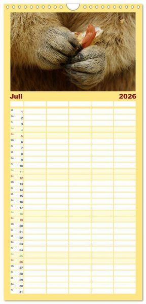 Produktbild: Familienplaner 2026 - Und ewig pfeift das Murmeltier mit 5 Spalten (Wandkalender, 21 x 45 cm) CALVENDO