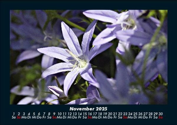Produktbild: Blumenkalender 2025 Fotokalender DIN A5