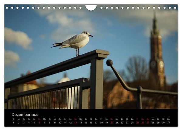 Produktbild: Landshut bei Tag und Nacht (Wandkalender 2026 DIN A4 quer), CALVENDO Monatskalender