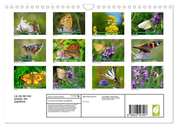 Produktbild: La vie de nos prairie, les papillons (Calendrier mural 2026 DIN A4 vertical), CALVENDO calendrier mensuel